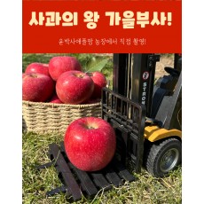 가을사과 [부사]  10kg 32과 중과